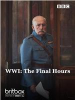 第一次世界大战：最后的时刻在线观看