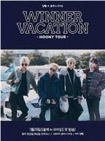 WINNER VACATION - HOONY TOUR -在线观看