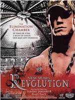 WWE New Year's Revolution在线观看