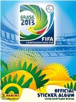 2013年国际足联巴西联合会杯