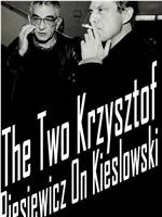 两个克日什托夫：皮尔斯维奇谈基耶斯洛夫斯基在线观看