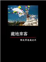 藏地来客——解放军进藏65年在线观看