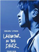 宇多田光Laugher in the Dark 2018 巡回演唱会