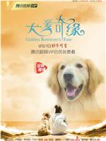 犬爱奇缘在线观看