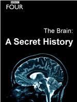 大脑：神秘的历史 第一季