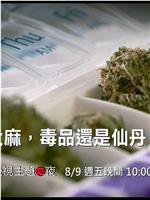 大麻：毒品还是仙丹