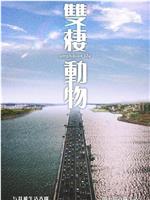 双栖动物