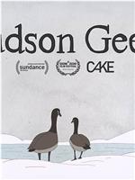 Hudson Geese