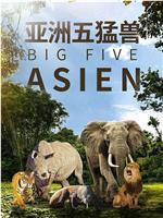 亚洲五猛兽在线观看
