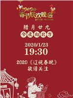 2020年辽宁卫视春节联欢晚会