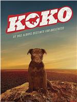 Koko:红犬历险记在线观看