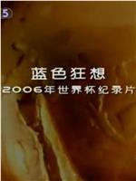 蓝色狂想：2006年世界杯纪录片