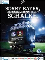 FC Schalke 04 vs Bayer 04 Leverkusen在线观看