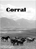 Corral