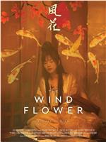 风花在线观看