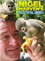 Nigel Marven's Wild Central America在线观看