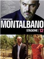 蒙塔巴诺督查 第12季 Inspector Montalbano Season 12 Season 12在线观看