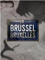 Brussel Season 1在线观看