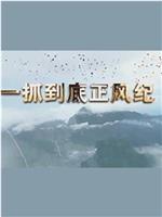 一抓到底正风纪——秦岭违建整治始末