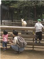 纪实72小时 川崎 山丘上的动物园