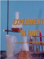 爱情实验