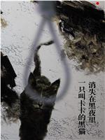 一只叫卡卡的黑猫消失在黑夜里在线观看