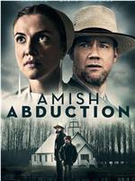 Amish Abduction