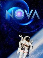 Nova Season 45
