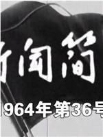 新闻简报1964年第36号