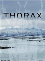 Thorax