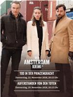 Der Amsterdam Krimi Season 2在线观看