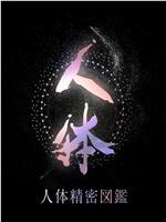 NHK特别节目 人体 神秘的巨大网络在线观看