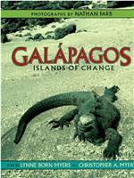 自然世界：加拉帕戈斯群岛的变化在线观看