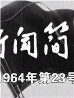 新闻简报1964年第23号在线观看