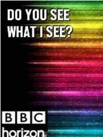 BBC 地平线系列: 你看到我所见了么