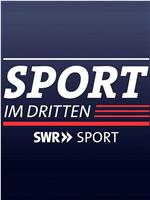 Sport im Dritten在线观看