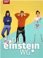 Die Einstein WG在线观看