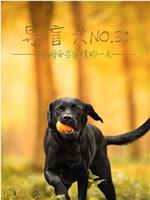 导盲犬No.31在线观看