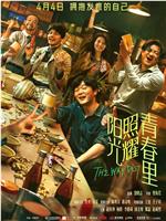 阳光照耀青春里
