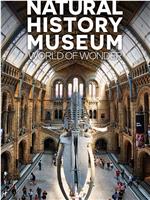 英国自然历史博物馆：神奇世界 第一季在线观看