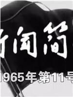 新闻简报1965年第11号