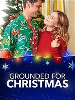 Grounded for Christmas