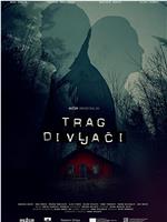 Trag divljaci