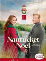 Nantucket Noel在线观看