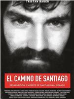 El Camino de Santiago在线观看