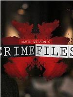 大卫·威尔森的犯罪档案在线观看