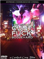 The Best of Cunt Fuck Boulevard在线观看