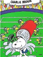 You're in the Super Bowl, Charlie Brown