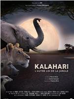 Kalahari, l'autre loi de la jungle Season 1在线观看