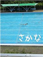 鱼